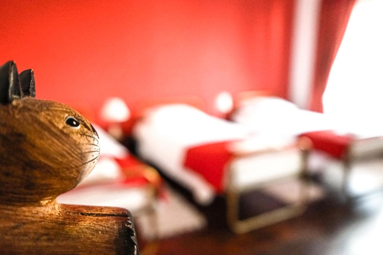 Azores Dream Hostel Ponta Delgada Rum bild